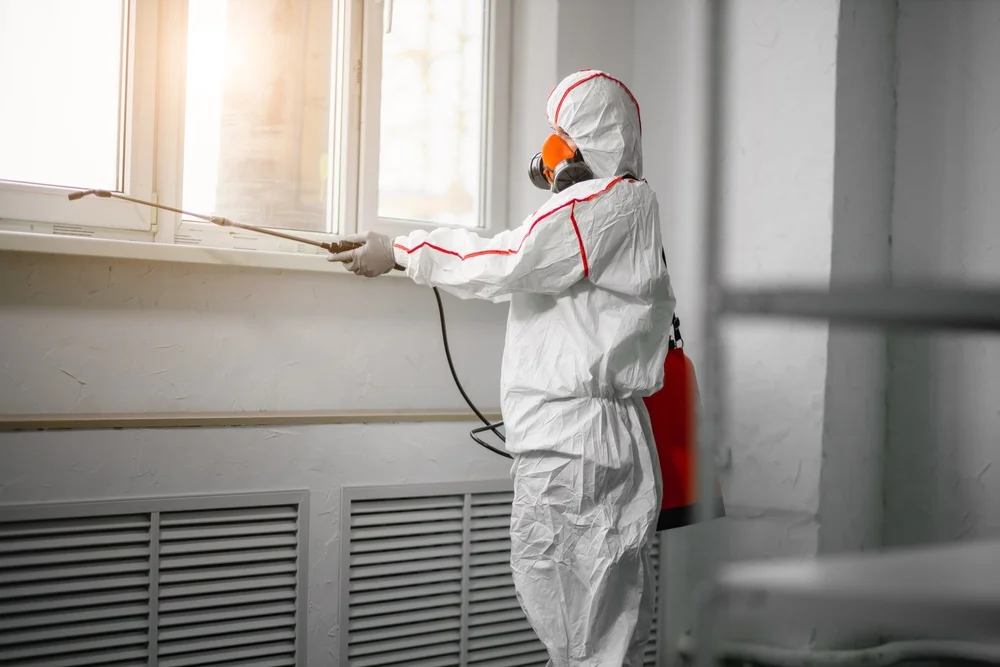 Professional mold remediation services in Outlook, WA